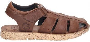 Sandále Kangaroos  530-23