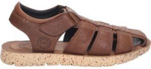 Sandále Kangaroos  530-23