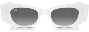 Slnečné okuliare Ray-ban  Occhiali da Sole  Kat RB4427 675911