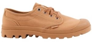 Derbie Palladium  PAMPA OXFORD
