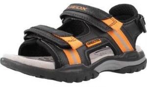 Sandále Geox  J BOREALIS BOY A