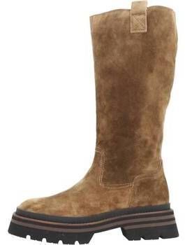 Čižmy Alpe  2054 11