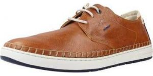 Derbie Fluchos  F1715
