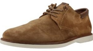 Derbie Cetti  C1351