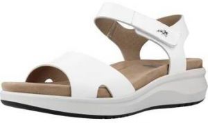 Sandále Fluchos  F1475