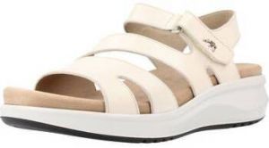 Sandále Fluchos  F1478