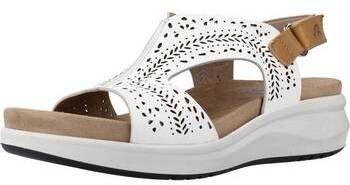 Sandále Fluchos  F1481