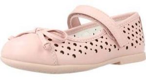 Derbie Chicco  CLELIANA