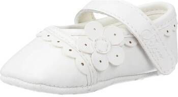 Derbie Chicco  OVY