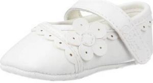 Derbie Chicco  OVY