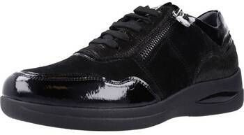 Derbie Stonefly  AURORA 22 VELOUR
