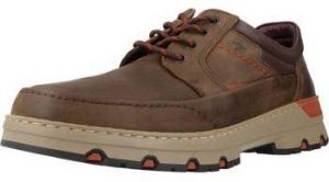 Derbie Fluchos  DESERT