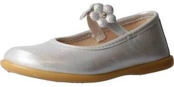 Derbie Osito  NVS10270