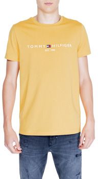 Polokošele s dlhým rukávom Tommy Hilfiger  TOMMY LOGO TEE MW0MW11797