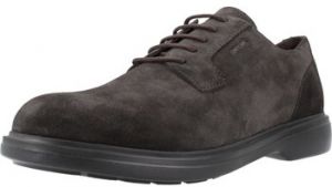 Derbie Geox  U OTTAVIO