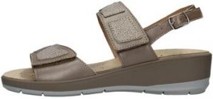 Sandále Cinzia Soft  IO12694PPB
