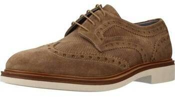 Derbie Stonefly  ALBY 1