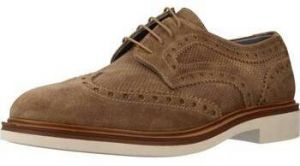 Derbie Stonefly  ALBY 1