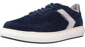 Derbie Stonefly  RAPID 12 VELOUR