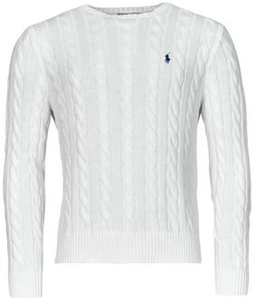 Svetre Polo Ralph Lauren  PULL COL ROND EN MAILLE TORSADEE