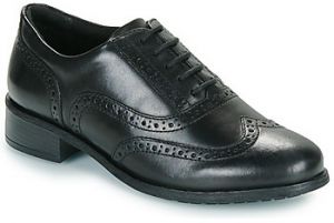 Derbie Clarks  Havisham Oak