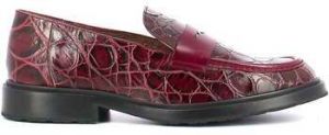 Slip-on Wonders  Ned