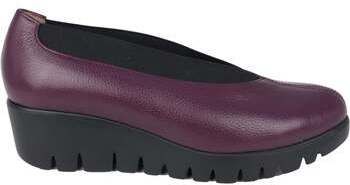 Slip-on Wonders  Agadir