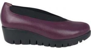 Slip-on Wonders  Agadir