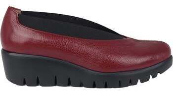 Slip-on Wonders  Agadir