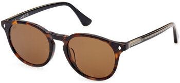 Slnečné okuliare Web Eyewear  Occhiali da Sole Web WE0328/S 56E