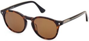 Slnečné okuliare Web Eyewear  Occhiali da Sole Web WE0328/S 56E