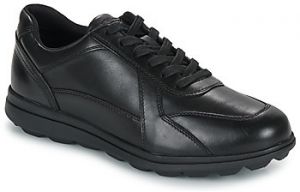 Derbie Geox  U SPHERICA EC12
