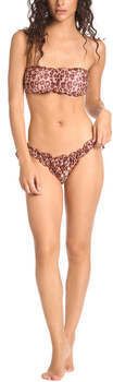 Plavky Cotazur  -