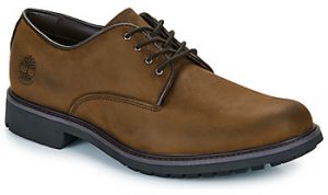 Derbie Timberland  STORMBUCKS LACE UP