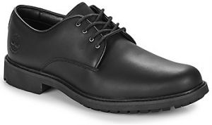 Derbie Timberland  STORMBUCKS LACE UP