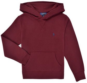 Mikiny Polo Ralph Lauren  LS PO HOOD-TOPS-KNIT
