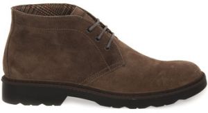 Čižmy IgI&CO  CELSON TAUPE