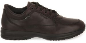 Módne tenisky IgI&CO  TRAVEL TIME GTX