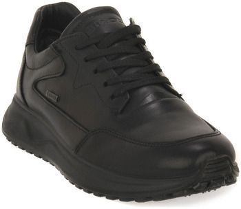 Módne tenisky IgI&CO  SARONNO NERO