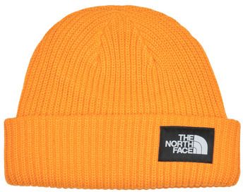 Čiapky The North Face  SALTY LINED BEANIE