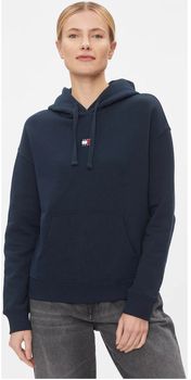 Mikiny Tommy Jeans  DW0DW17326