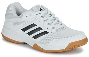 Indoor obuv adidas  Speedcourt M