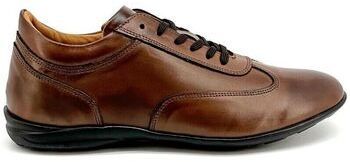 Módne tenisky Duca Di Morrone  Raul - Leather Brown