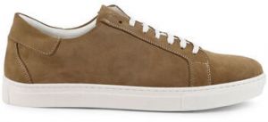 Módne tenisky Duca Di Morrone  Brando - Suede Brown
