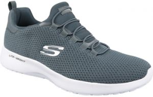 Fitness Skechers  Dynamight
