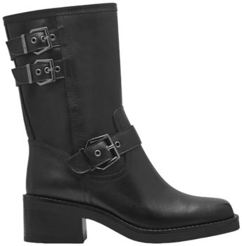 Derbie Tamaris  12539043