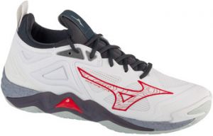 Fitness Mizuno  Wave Momentum 3