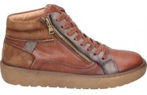 Členkové tenisky Calzazul-Flex  2424