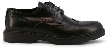 Nízka obuv do mesta Duca Di Morrone  Dante - Leather Black