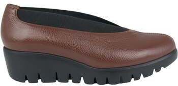 Slip-on Wonders  Agadir